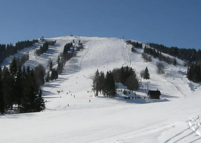 Apartma Ajda * Zelezniki